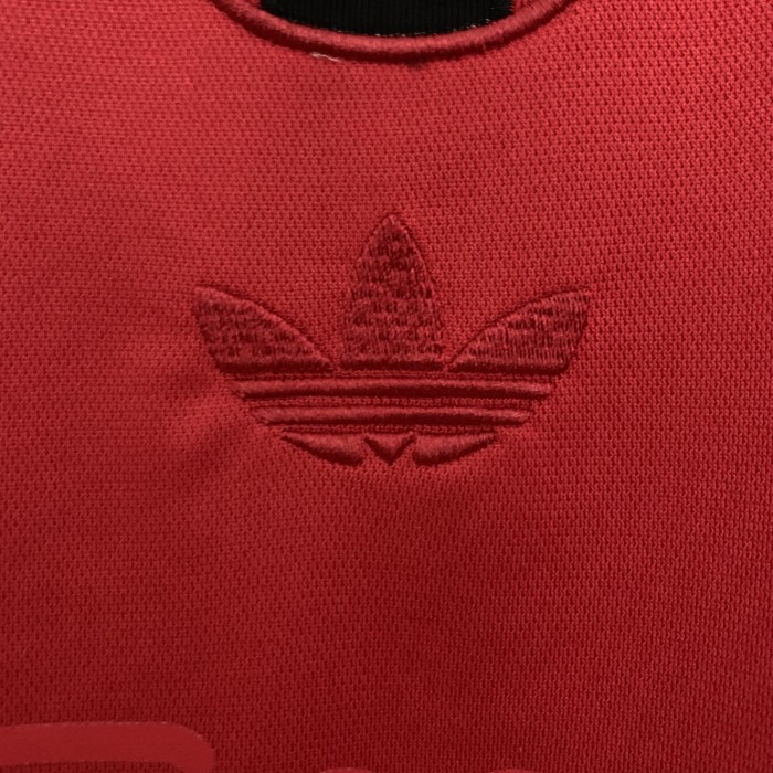 Ajax fan 125 aniversario